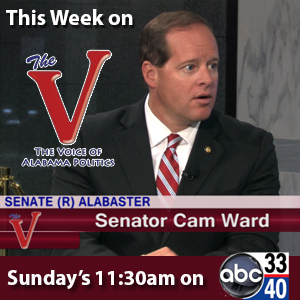The_V_Cam_Ward