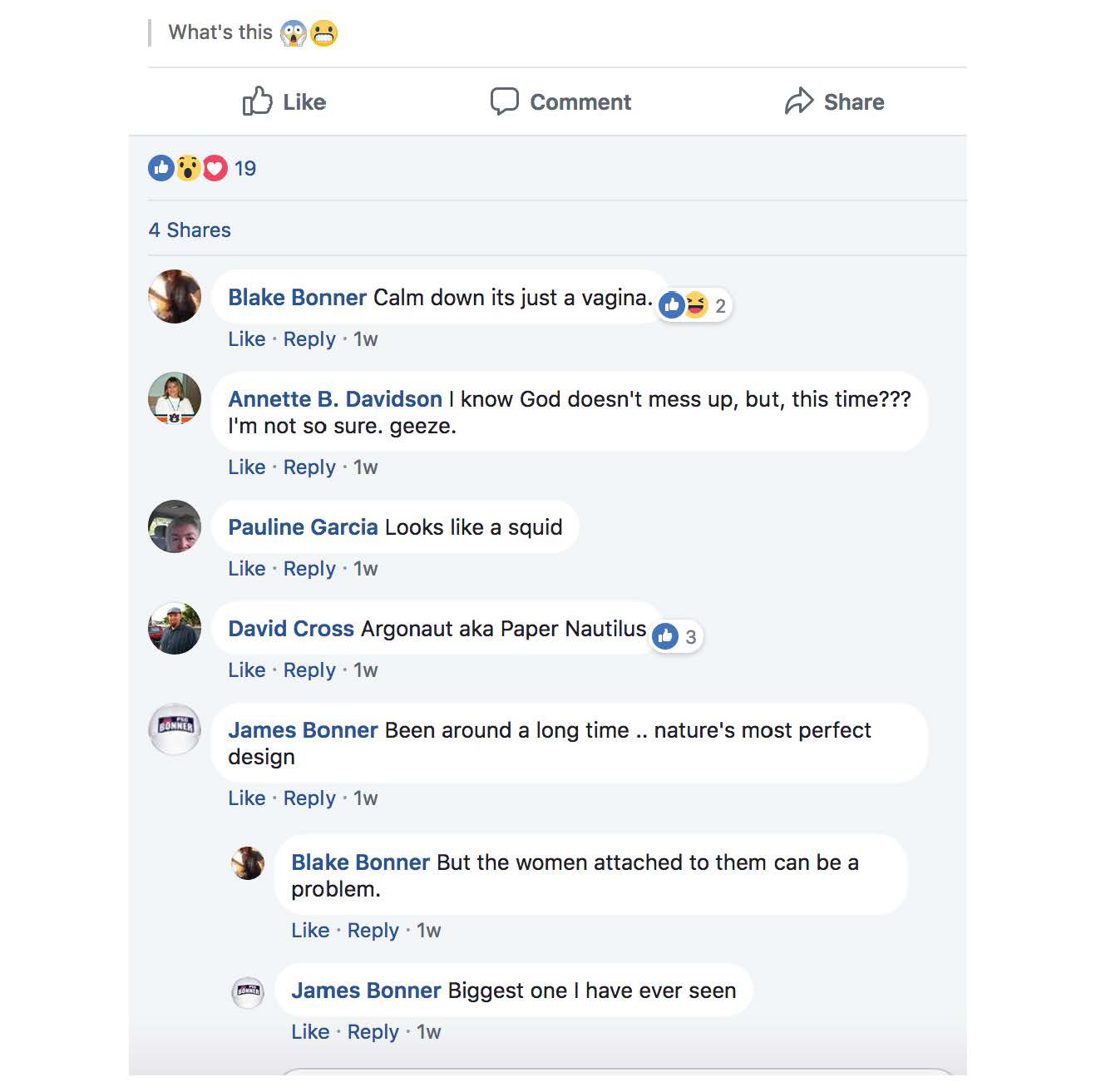 Bonner_Vagina